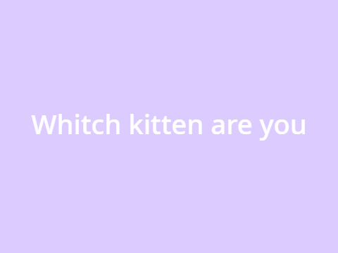 witch cat are you