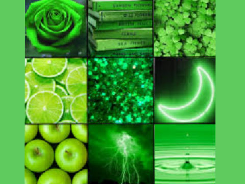 `⋆ ★.||Color Themed OTA Collab Green~⋆ ★.`