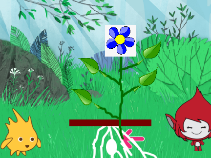 lifecycle of an plant