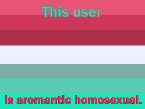 This user is aromantic homosexual (MLM).