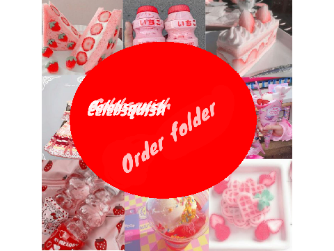 +++Order folder----
