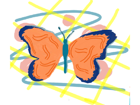 BOOTERFLEA