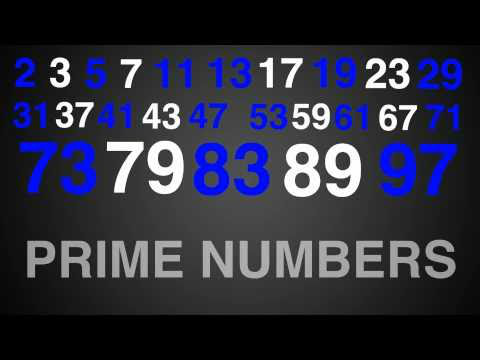 The Great Scratch Prime Number Search