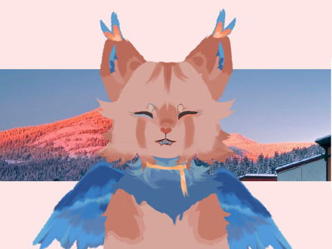 A-003 | daydream dtae
