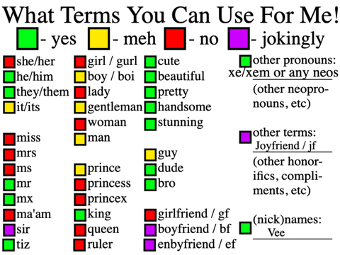 What terms you can use for me lol