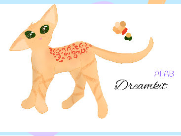 Precious Little Ones | Finding my Dream 