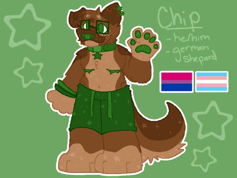 (CURRENT) Chip