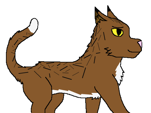 Owlpaw Drawing