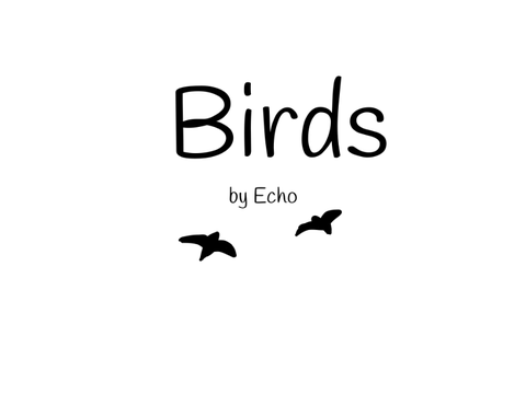 Birds - A Poem