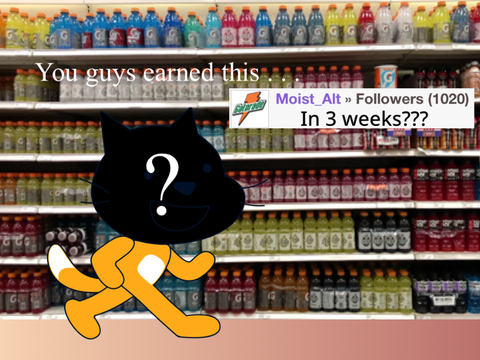 1000 Follower Special Announcement (TAKE TWO)