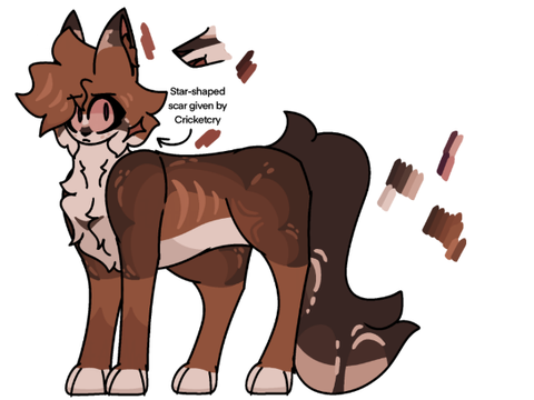 Foxdawn - AFC
