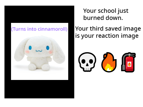 Your school just burned down and your third saved image is your reaction 