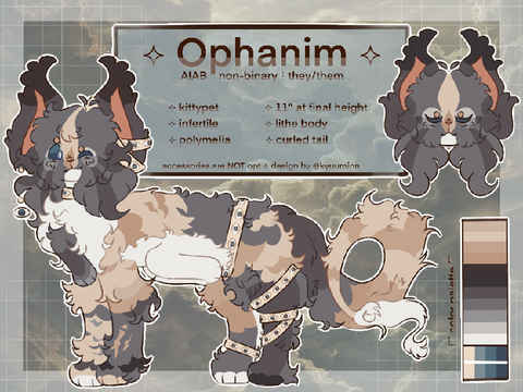 ⭒ ophanim’s reference sheet - fall 2024 ༉‧₊˚.