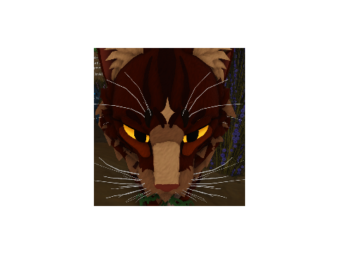 my wcue oc but its a .5