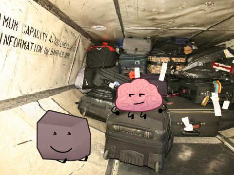 Luggage