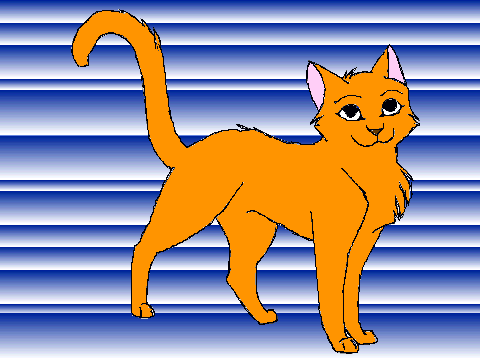 my cat coloring contest entry