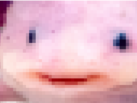 axotl