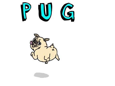 PUG TIME!!!!!
