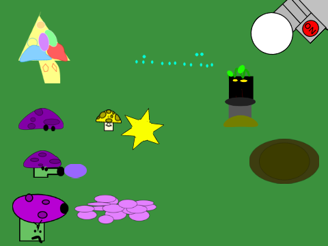Plants vs. zombies at night