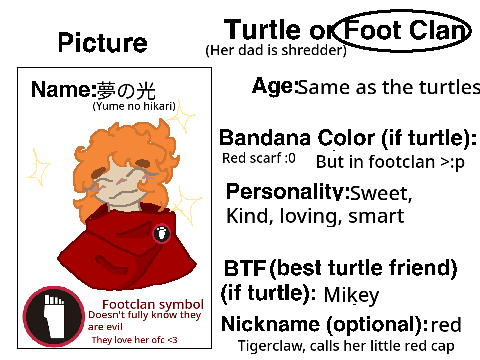 2012 TMNT RP 