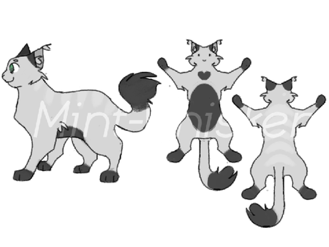 WIP Ref Sheet for @_-eclipse-on-pawz-_ 
