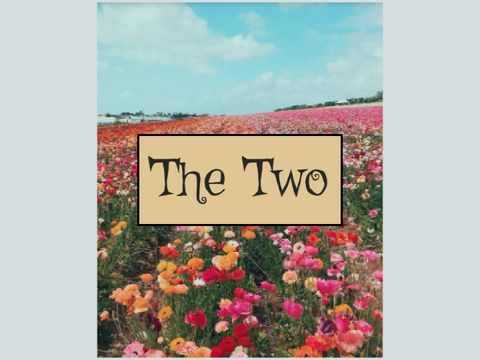 The Two ~ Contest Entry