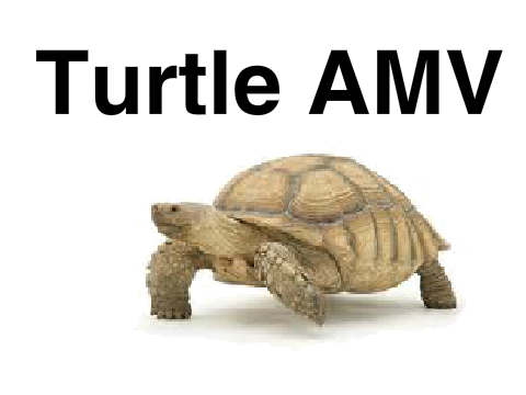 Turtle AMV