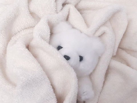 ♡