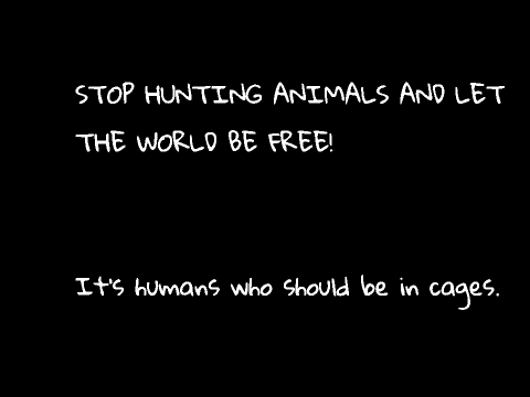Against Hunting