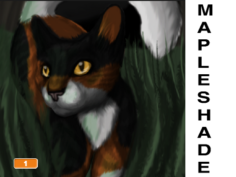 Who Likes Mapleshade?