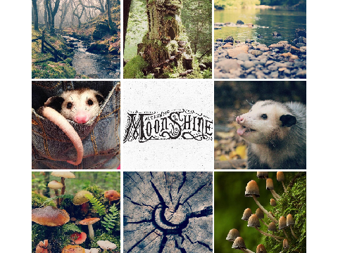 FLASH Moodboard Contest! || 6 Days Left remix