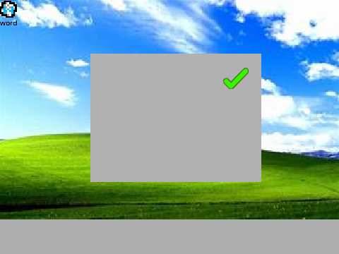 windows xp