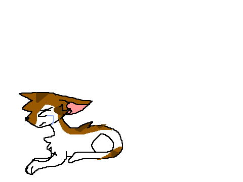 ~LeafPool's Last Wish MAP Part 5~