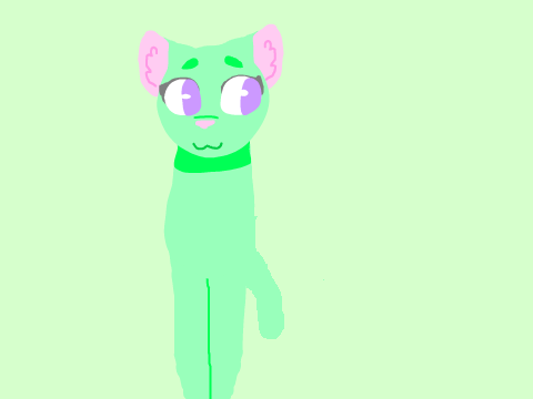 Bounce Bounce !