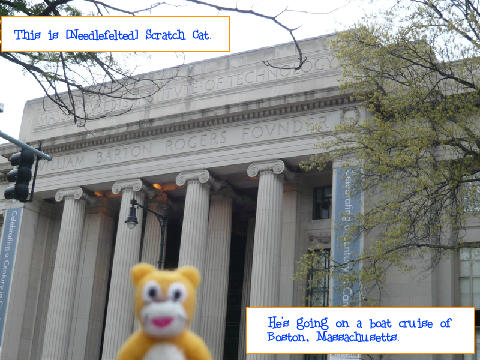 [Needlefelt] Scratch Cat Goes on Boston Cruise
