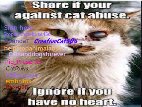 Sign here if you can’t stand animal abuse!