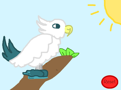 Cockatiel creator!