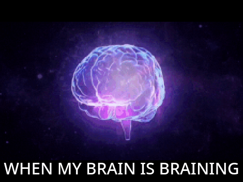 Brain Meme