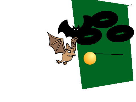 Bats, ball and square.