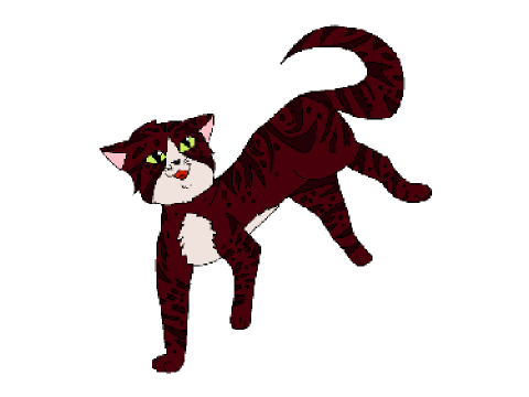 Tabby