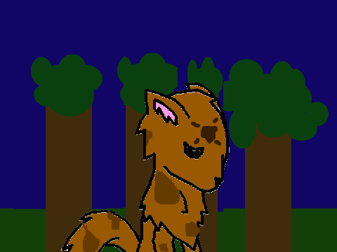 Lost Boy CCE-2