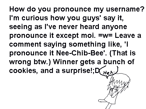 How Do  You Pronounce My Username?