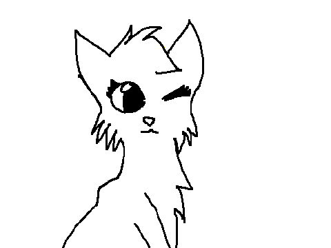 Cat CC~OPEN 