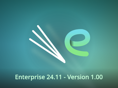 Bambus OS Enterprise 24.11 (v1.00)