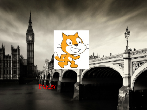 Where in the world is scratch cat??