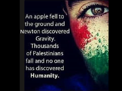 Free Palestine! remix