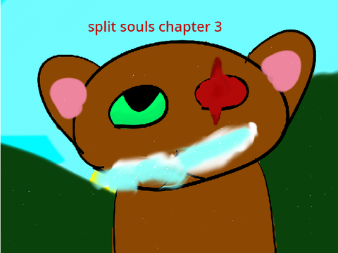 wss chapeter 3