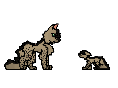 SquirrelKit's future