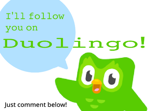 I'll follow you on Duolingo!