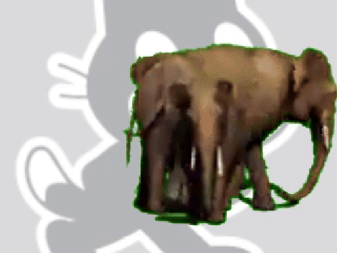 Elephant Green Screen Effect